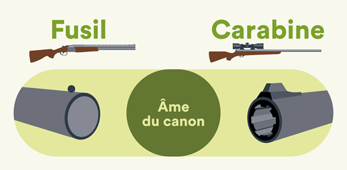 Différence entre le canon du fusil et de la carabine