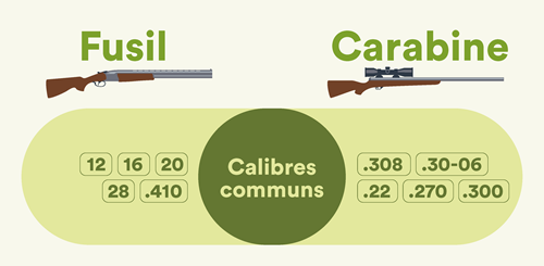 Des exemples de calibres de fusil et de carabine