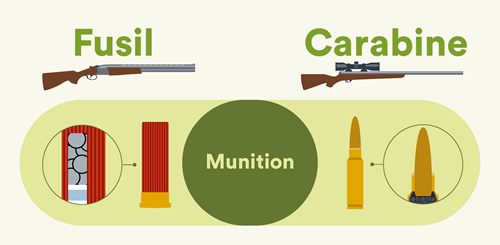 La différence entre les munitions de fusil et de carabine