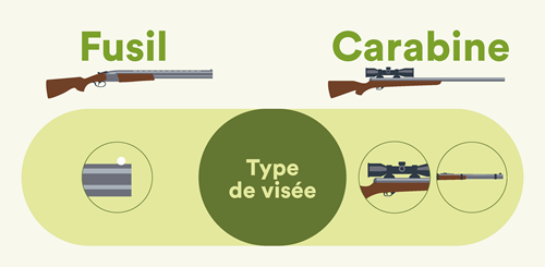 La visée d'un fusil et d'une carabine