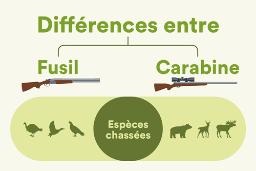 Faire la différence entre un fusil et une carabine