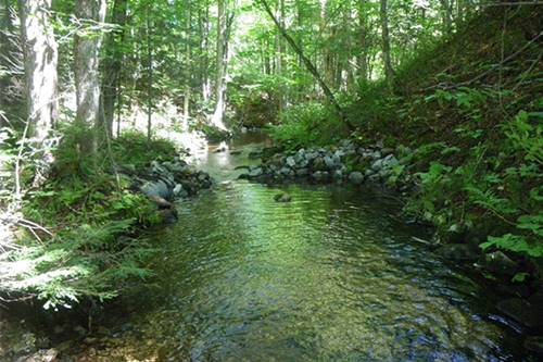 Restauration d’habitats pour l’omble de fontaine au Lac en Coeur et au Lac Long dans la région de Portneuf