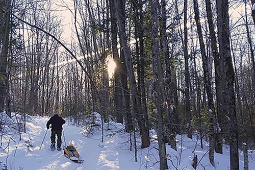 Un amateur de plein air au service de la faune : entretien avec Charles Charron du Club de Plein air de Saint-Hippolyte