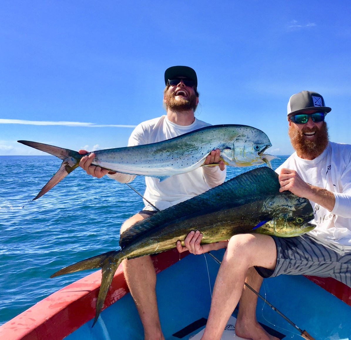 Pêche du poisson-coq au Costa Rica : le paradis du pêcheur