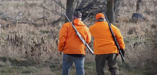 Chasser en toute sécurité : les précautions à prendre face aux maladies de la faune