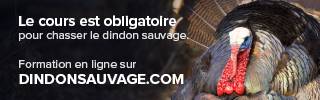 Publicité