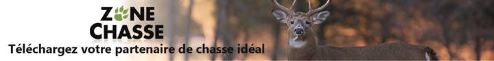 Publicité