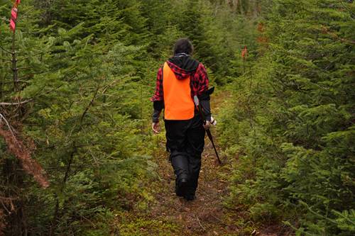Les nouveaux sentiers de la relève du secteur Croche-McCormick: la Sépaq investit pour la relève de la chasse au petit gibier