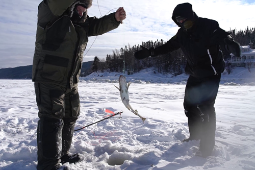Initiation à la pêche blanche sur le fjord