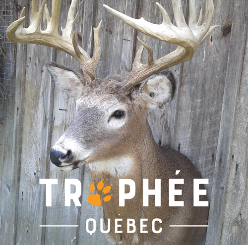 Trophée Québec