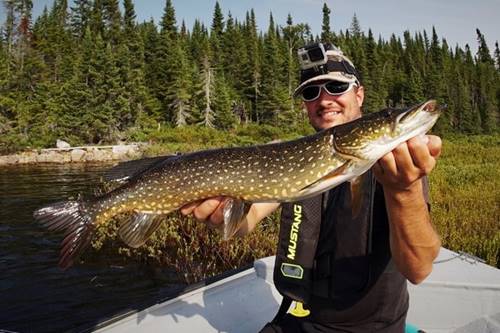 Le grand brochet du Gouin, un projet pour la relève